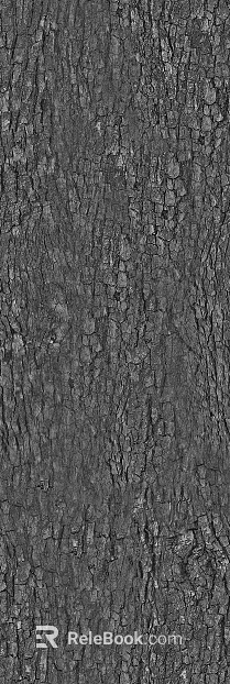 bark texture