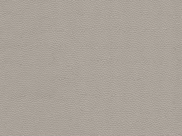 Coarse-grain leather texture (ID:ffach395706)