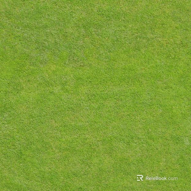 Turf texture