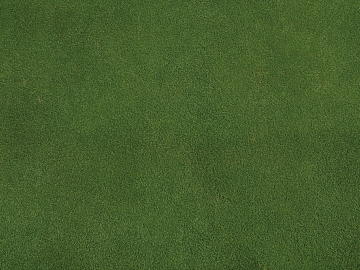 Turf texture (ID:ffajg28233)