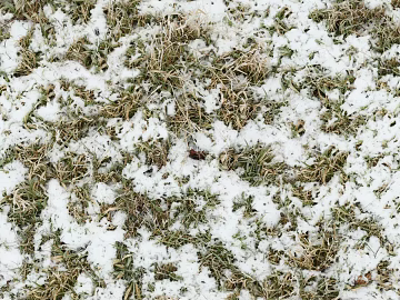 Ground-Snow 3d model