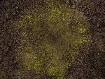 Chinese brown Mud Grassland texture (ID:ffach441753)