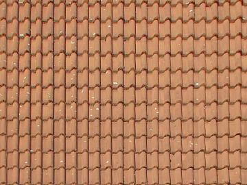 red tile 3d model