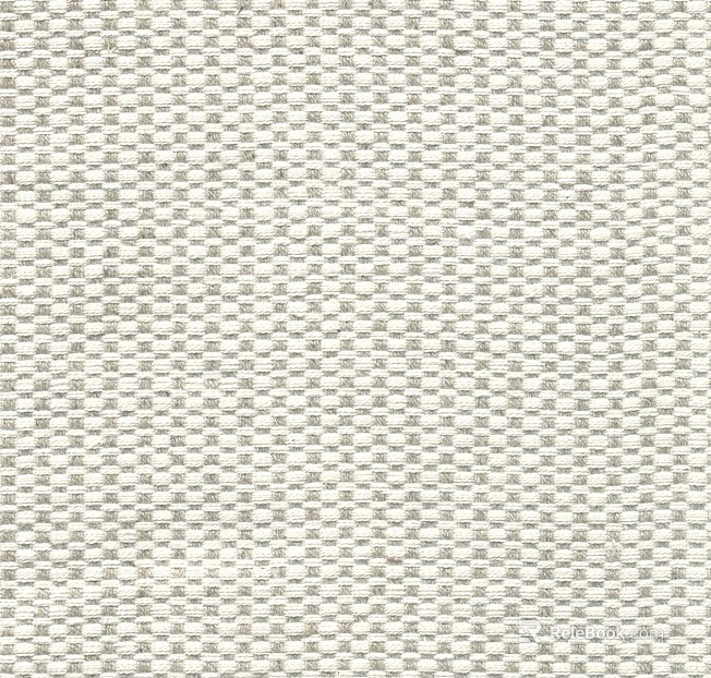 plain cloth texture