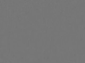 Gray latex paint for interior walls texture (ID:ffaeh077221)