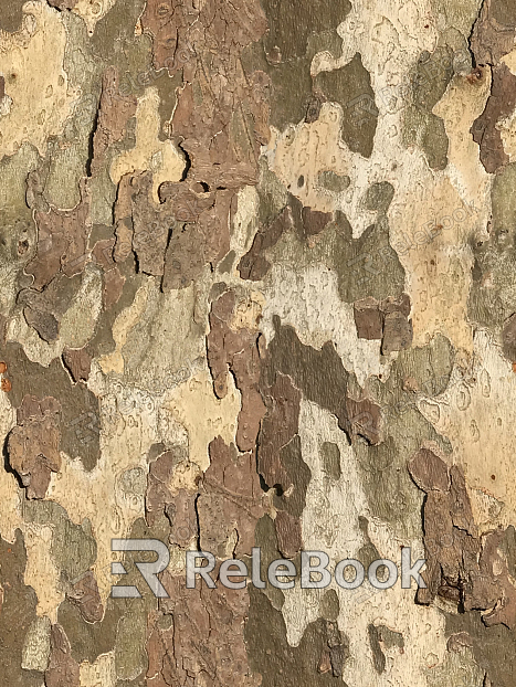 bark texture