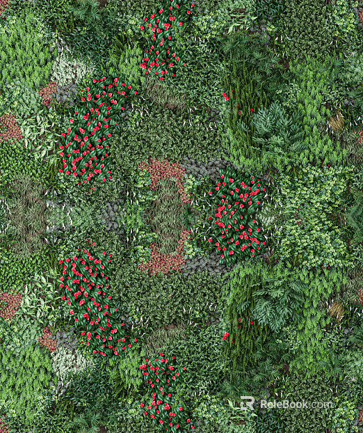 Plants texture