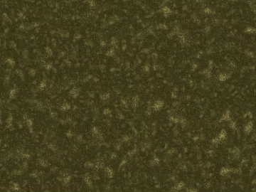 Moss texture (ID:ffaeh134916)