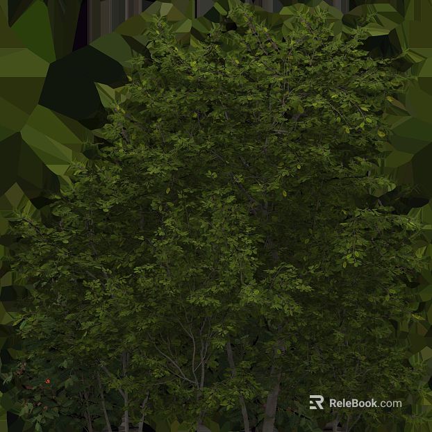 Green shrub landscape texture