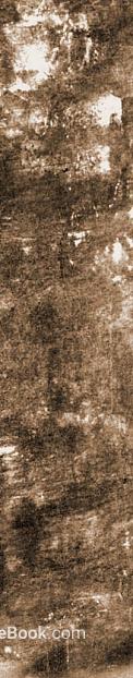 Curry Color Rock Wall Decoration Stone texture