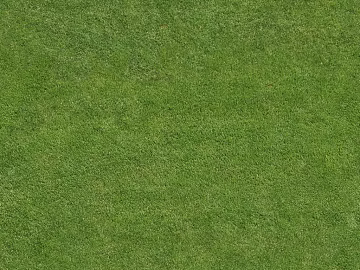 Turf texture (ID:ffach577166)