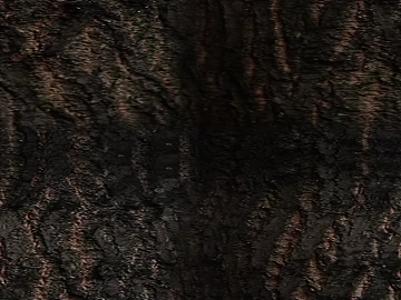 Dark brown bark texture natural material (ID:ffaeh217789)