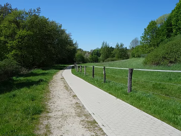 Wild Scenery texture (ID:ffaeg18743)