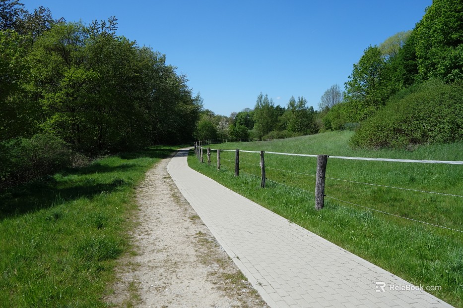 Wild Scenery texture