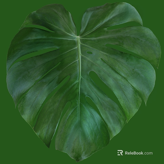 Bamboo Tortoise texture