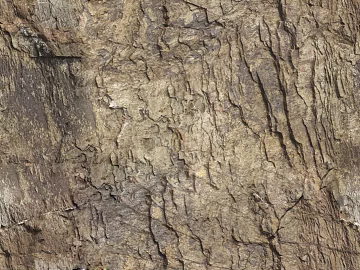 Rock texture (ID:ffach139706)