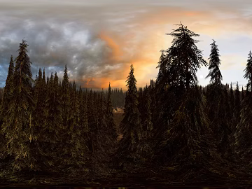 Nordic Forest Dusk HDR texture (ID:ffach514673)