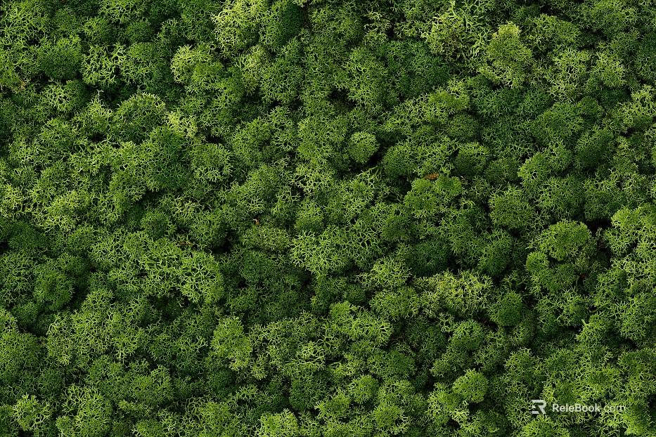 Green moss wall decoration planting material texture