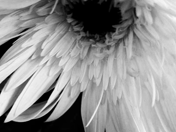 black and white painting texture (ID:ffhce418)