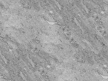 Cement floor texture (ID:ffabg26556)