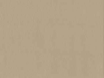 fine grain leather texture (ID:ffaag32601)