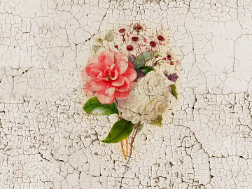 Murals texture (ID:ffacg43856)