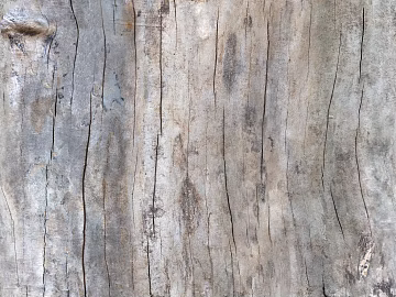 old wood texture (ID:ffach035538)