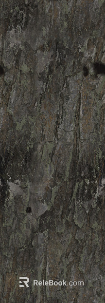 bark texture