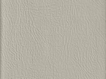 Coarse-grain leather texture (ID:ffajg65158)