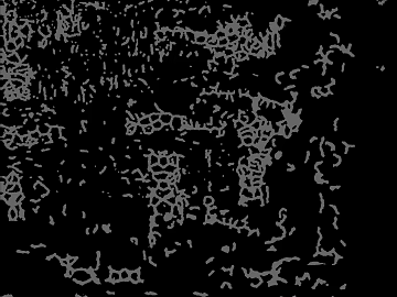 Black and White Texture Bump Map texture (ID:ffaeh705321)