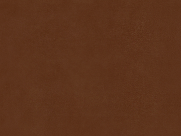 fine grain leather texture (ID:ffajg58731)