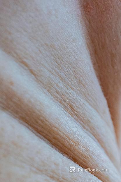 Skin texture