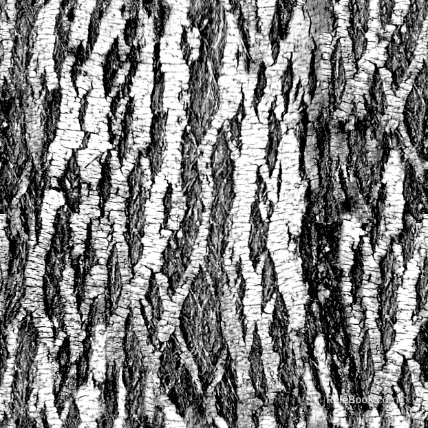 bark texture