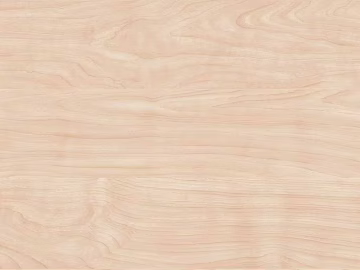 Wood grain 3d model
