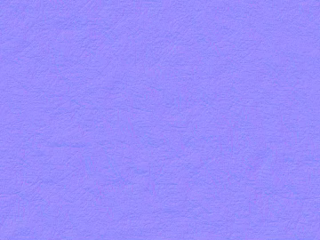 Normal Bump 3d model