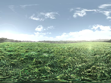 Wild Scenery texture (ID:ffajg10972)