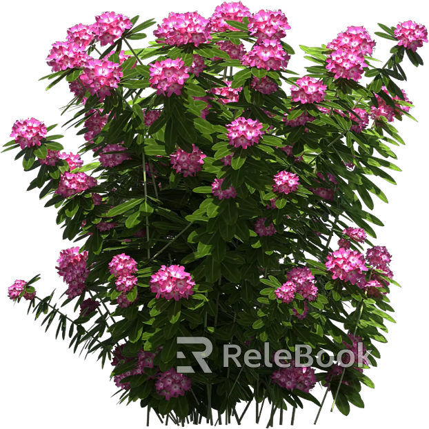 Flowers texture