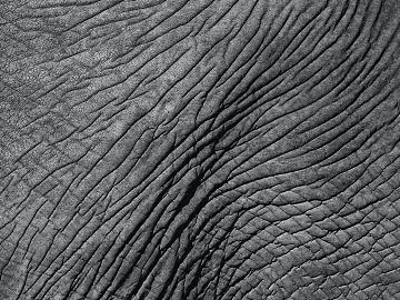 Coarse-grain leather texture (ID:ffabg13487)