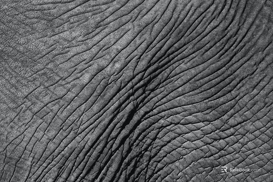 Coarse-grain leather texture