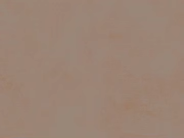 Light beige original wood grain cabinet finish texture (ID:ffaeh732779)
