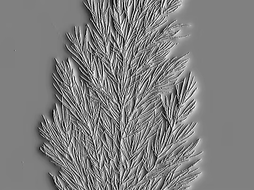 three-dimensional physical painting texture (ID:ffacg86502)