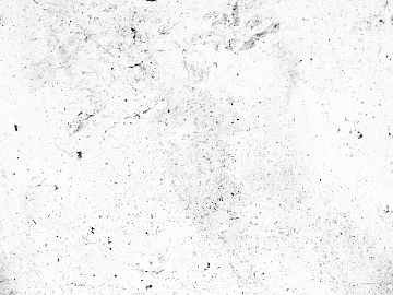 Black and white stain noise dirt texture (ID:ffach102546)