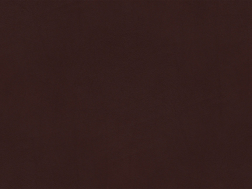 fine grain leather texture (ID:ffacg66748)