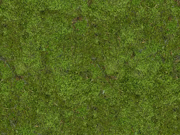Green moss outdoor ground decoration texture (ID:ffaeh151079)