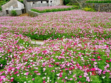 Park Exterior texture (ID:ffaeg04350)