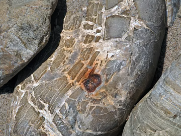 Stone texture (ID:ffaag37297)