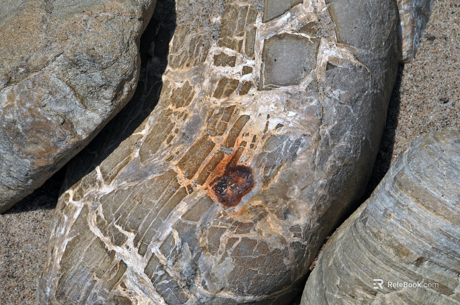 Stone texture