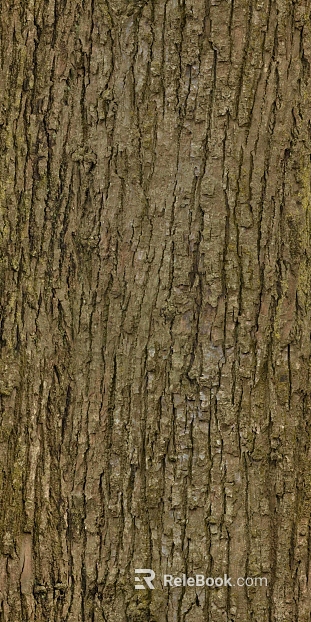 ancient tree bark texture