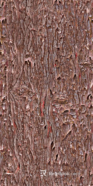 bark texture