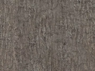 bark texture (ID:ffaag29774)